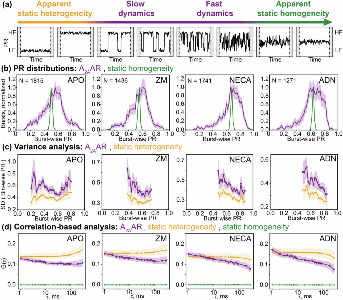Fig. 2: Burst-wise analysis of the structural heterogeneity and dynamics of A2AAR.