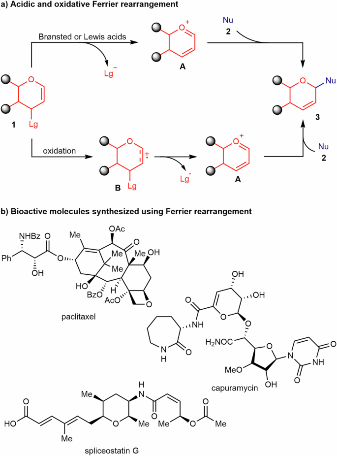 Fig. 1: Ferrier rearrangement and its application.
