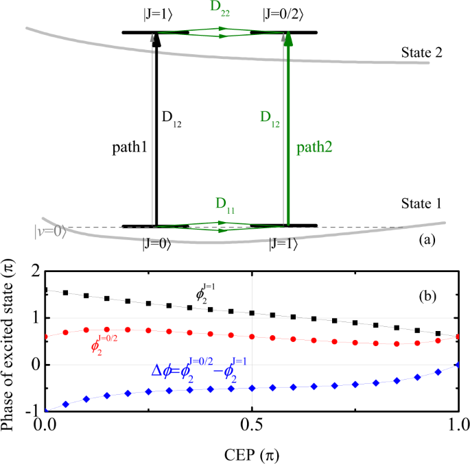 Fig. 2: Model excitation and relative phase.