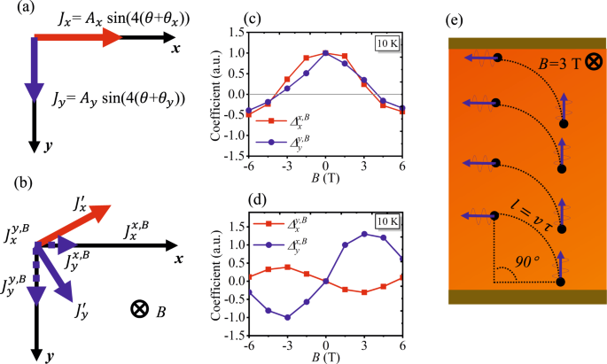 Fig. 3: Macroscopic and microscopic analysis.