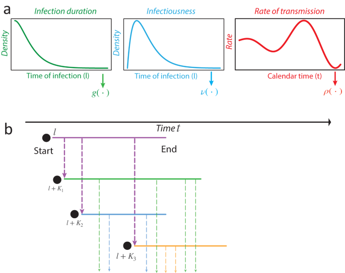 Fig. 1: Schematic of a time-varying general branching process.