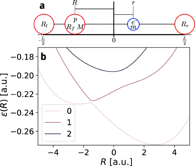 Fig. 2: The Shin-Metiu Model.