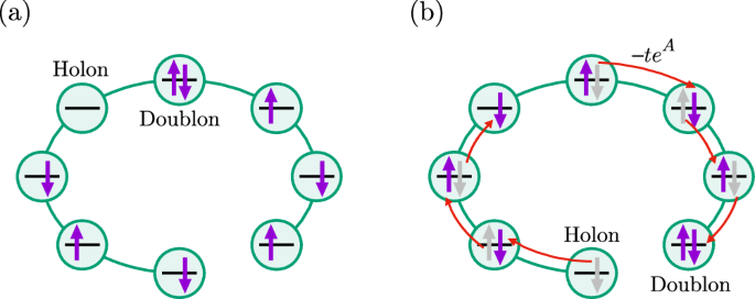 多体系の非エルミートトポロジカル相を解明(Unveiling non-Hermitian topological phases in many-body systems)