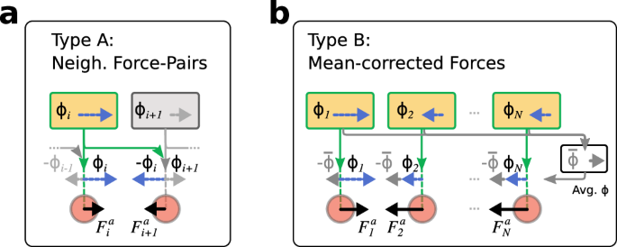 Fig. 2: Schematics of mapping the bead-specific proposed actions ϕi(tk) to the proposed active forces 
                        
                          
                        
                        $${F}_{i}^{a}({t}_{k})$$
                        
                          
                            
                              F
                            
                            
                              i
                            
                            
                              a
                            
                          
                          
                            (
                            
                              
                                
                                  t
                                
                                
                                  k
                                
                              
                            
                            )
                          
                        
                       to ensure the global force-free condition 
                        
                          
                        
                        $$\mathop{\sum }_{i = 1}^{N}{F}_{i}^{a}({t}_{k})=0$$
                        
                          
                            
                              ∑
                            
                            
                              i
                              =
                              1
                            
                            
                              N
                            
                          
                          
                            
                              F
                            
                            
                              i
                            
                            
                              a
                            
                          
                          
                            (
                            
                              
                                
                                  t
                                
                                
                                  k
                                
                              
                            
                            )
                          
                          =
                          0
                        
                      .