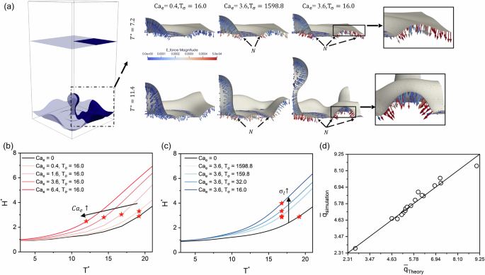 Fig. 5: Analysis of single-bubble nucleation pool boiling.