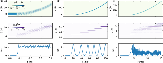 Fig. 4: Time evolution of atoms and light.