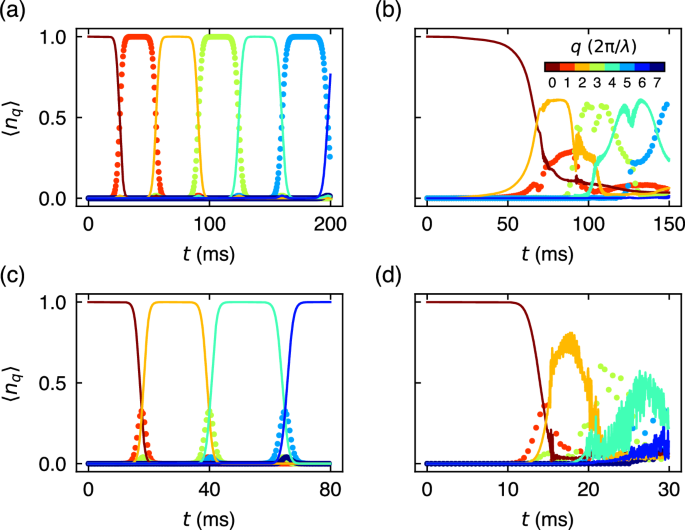 Fig. 5: Momentum state populations.