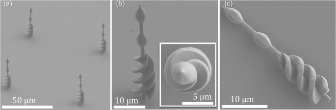 Fig. 2: SEM images of the optical microrobot fabricated using the two-photon lithography printing technique.