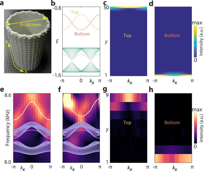 Fig. 2: Measured edge bands and their momentum-resolved probability density on an acoustic cylinder.