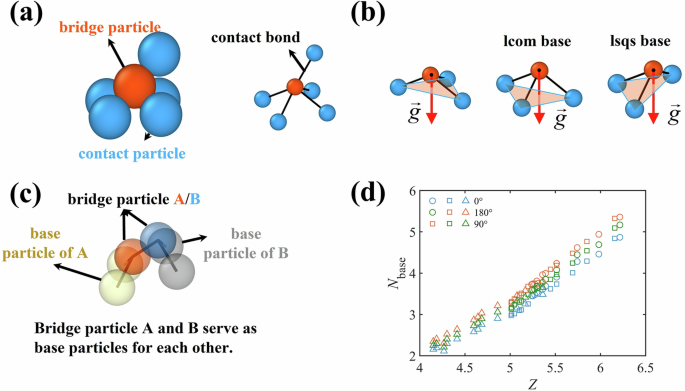 Fig. 1: Schematic Diagram of Possible Supporting Bases in Granular Packings under Varying Gravity Directions.