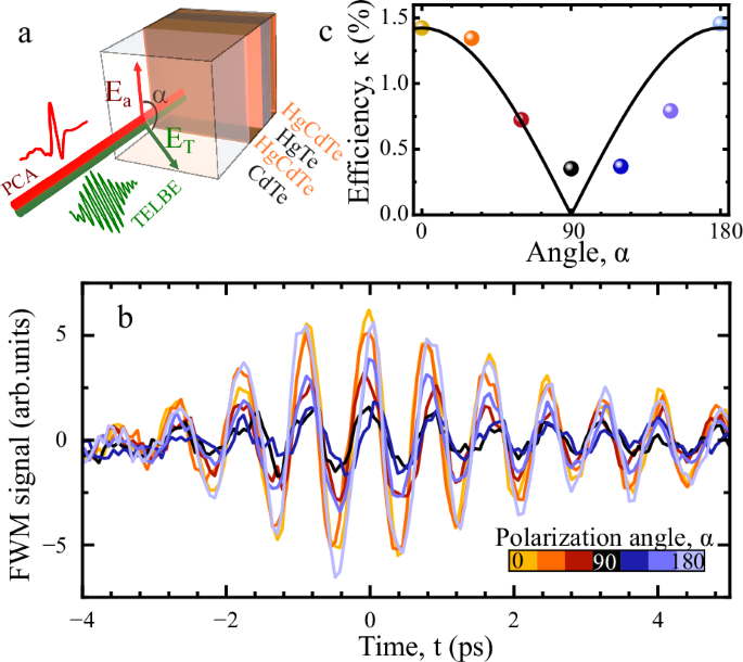 Fig. 3: Polarization dependence of the terahertz four-wave mixing (FWM).