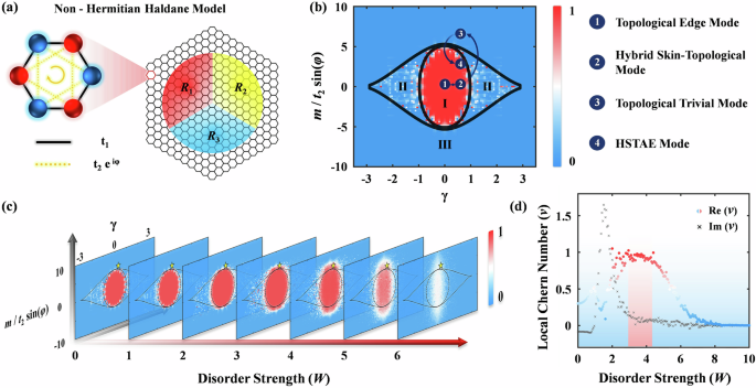 Fig. 1: Phase diagram of the non-Hermitian Haldane model with disorder.