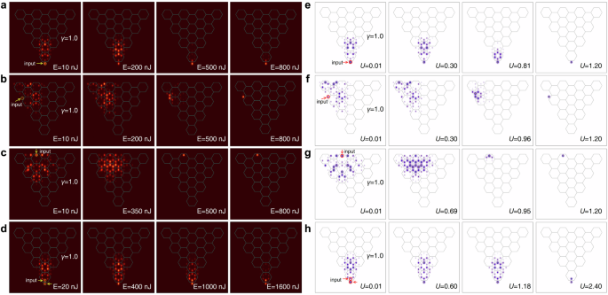 Fig. 4: Excitation of linear and non-linear states at dimerization parameter γ&nbsp;=&nbsp;1.0.