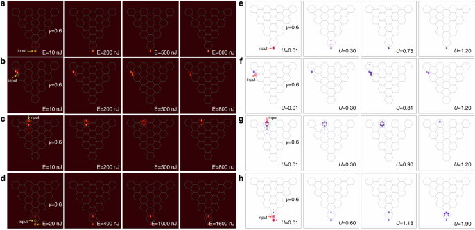 Fig. 5: Excitation of linear and nonlinear states at dimerization parameter γ&nbsp;=&nbsp;0.6.