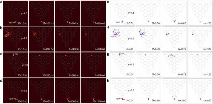 Fig. 6: Excitation of linear and non-linear states at dimerization parameter γ&nbsp;=&nbsp;1.6.