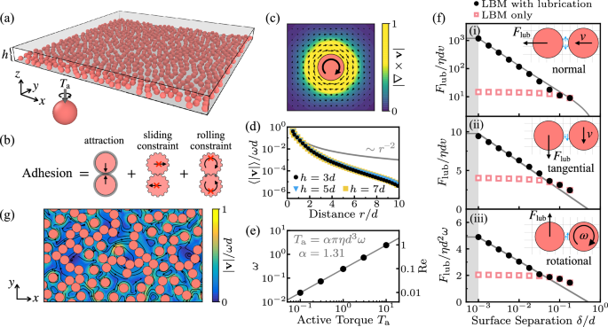 Fig. 1: Simulation setup.