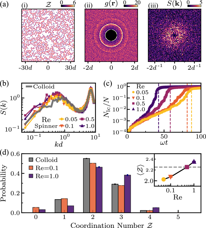 Fig. 3: Gel structure and dynamics.