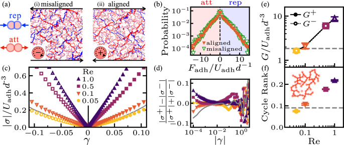 Fig. 4: Rheology and topology.