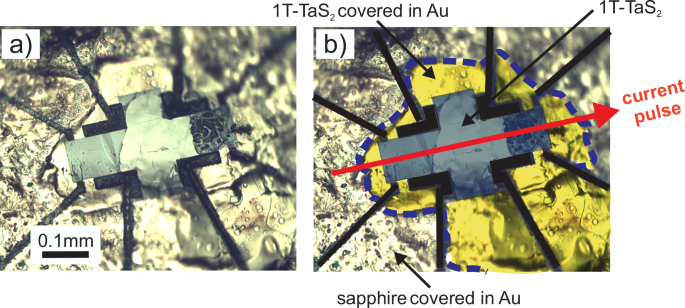 Fig. 6: Layout of the device.