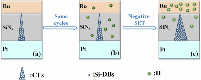 Fig. 5: Models for the switching mechanism.