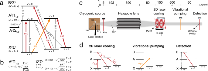Fig. 1: Schematics of the experiment.