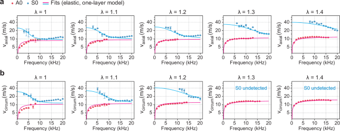 Fig. 2: Phase velocities in axial and circumferential directions, and their fitting curves using the single-layer elastic model.