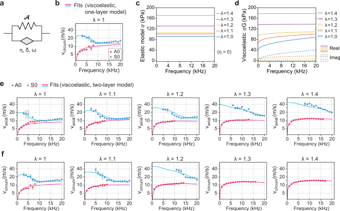 Fig. 3: Viscoelastic model analysis of experimental data.
