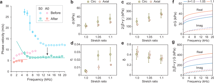 Fig. 6: Viscoelastic properties of arterial tissues after treating with CNBr.