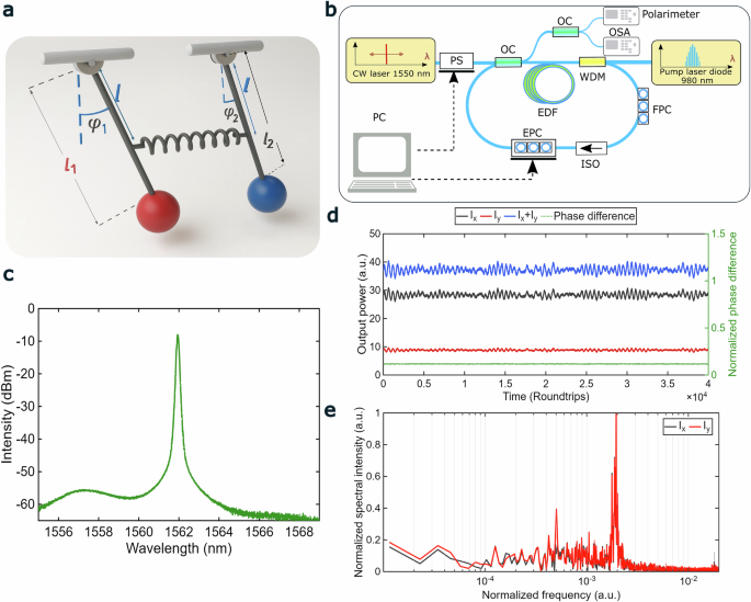 Fig. 1: Principle and schematic of subharmonic entrainment induced nonlinear synchronization.