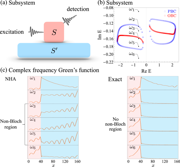 Fig. 1: Non-Bloch response in subsystem model.