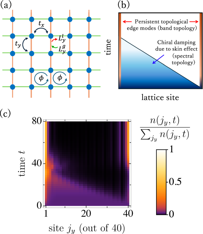 Fig. 1: System and main results.