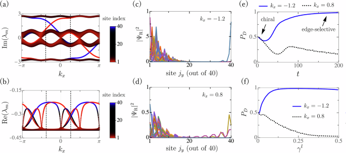 Fig. 3: Dynamics: coexistence of topological edge modes and skin-localized bulk modes.