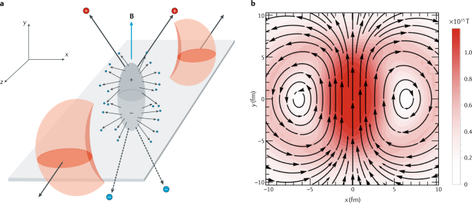 Chiral effect the topology of gauge fields in heavy-ion collisions | Reviews Physics