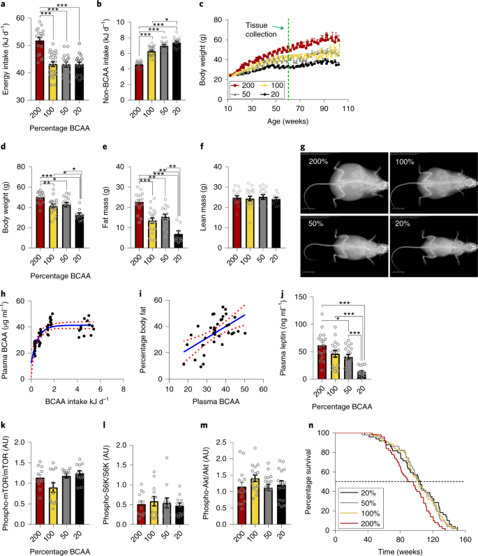 Branched-chain amino acids impact health and lifespan indirectly via amino  acid balance and appetite control | Nature Metabolism