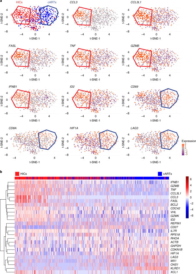 Metabolic Plasticity Of Hiv Specific Cd8 T Cells Is
