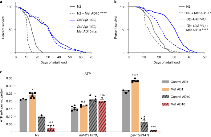Loss Of Metabolic Plasticity Underlies Metformin Toxicity In Aged Caenorhabditis Elegans Nature Metabolism