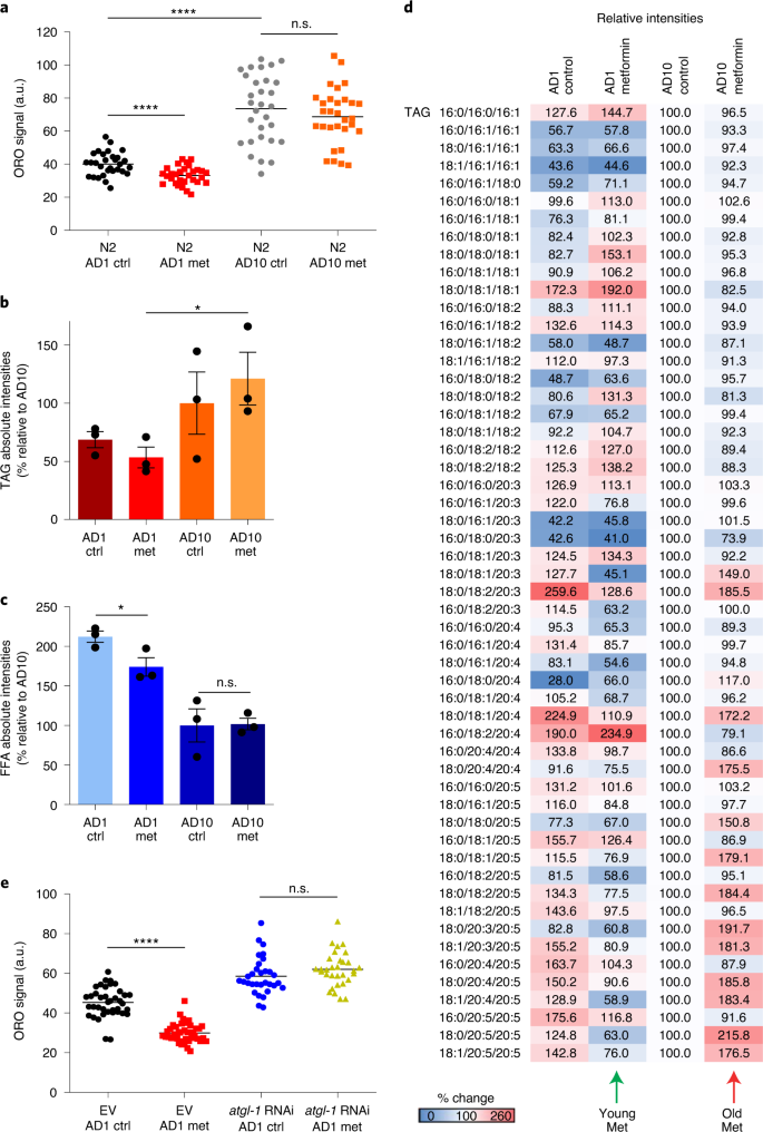 Loss Of Metabolic Plasticity Underlies Metformin Toxicity In Aged Caenorhabditis Elegans Nature Metabolism