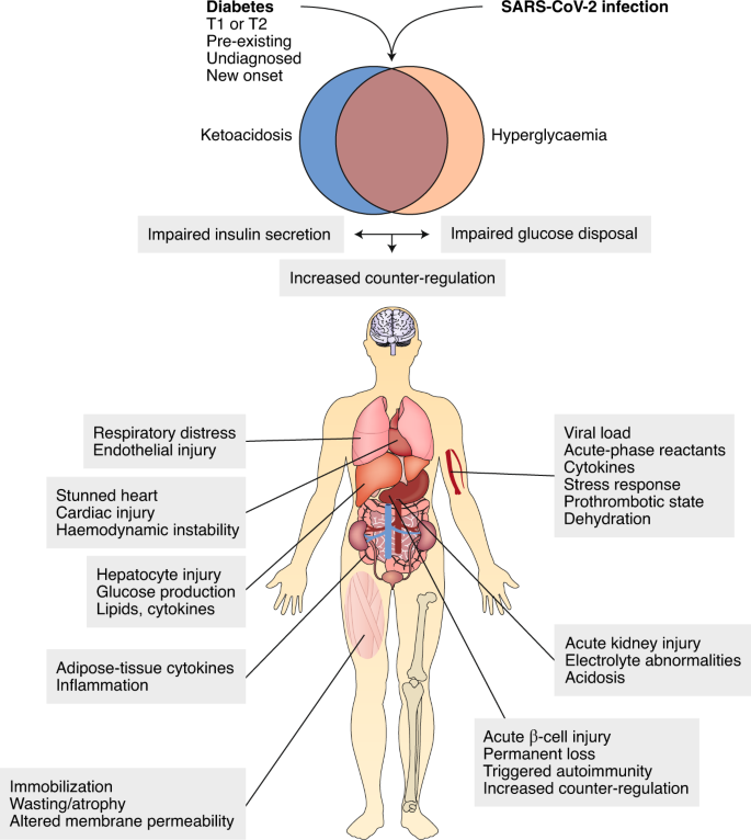 diabetes treatment center perm