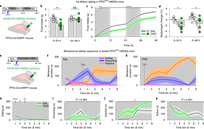 Central And Peripheral Glp 1 Systems Independently Suppress Eating Nature Metabolism Central And Peripheral Glp 1 Systems Independently Suppress Eating Nature Metabolism