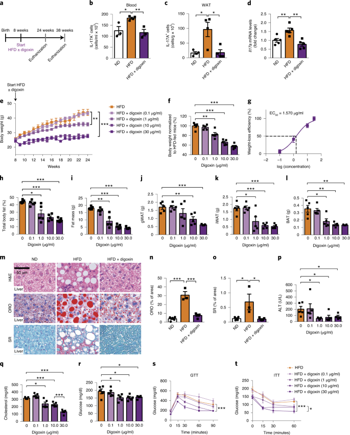 Inhibition Of The Il 17a Axis In Adipocytes Suppresses Diet Induced Obesity And Metabolic Disorders In Mice Nature Metabolism