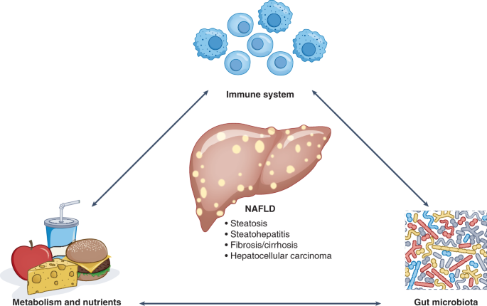 Non-alcoholic fatty liver disease: the interplay between metabolism,  microbes and immunity | Nature Metabolism