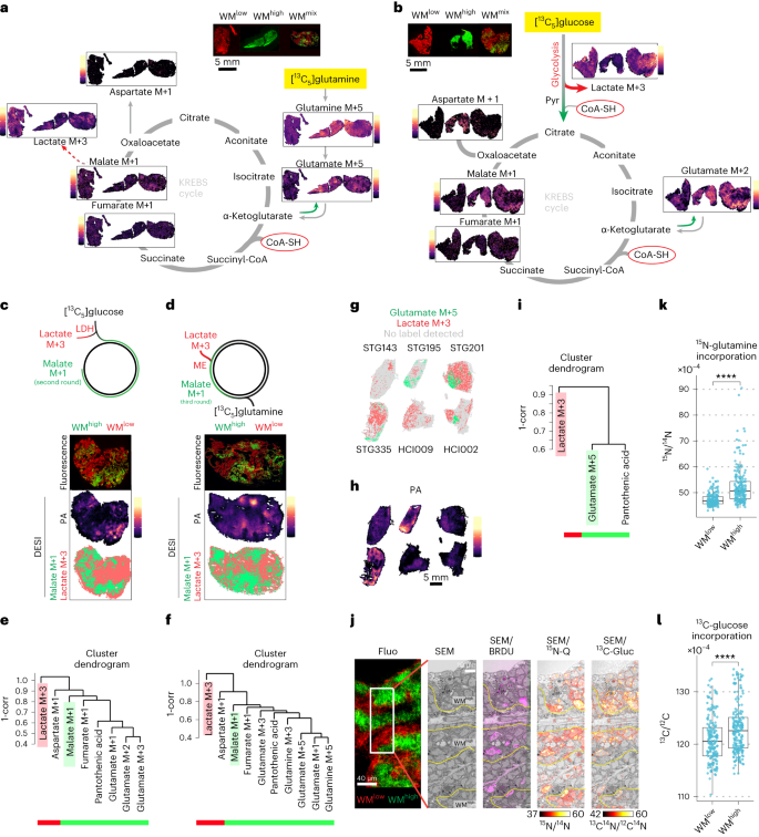 CEU Mass Mediator 3.0: A Metabolite Annotation Tool