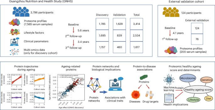 Fig. 1: Overview of longitudinal cohorts and analysis workflow.