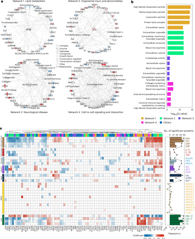 Fig. 4: Functional networks of ageing-related proteins and their longitudinal associations with clinical traits.