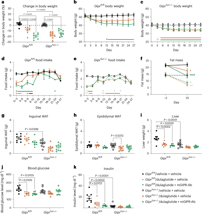 Fig. 3: Gipr KO in the CNS extends the body weight reduction and anorectic effect of GLP-1R agonism in DIO mice.