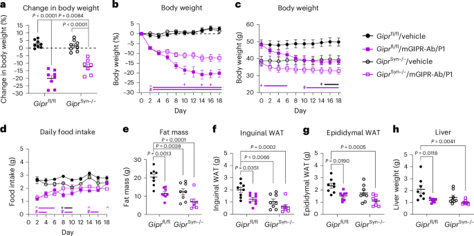 Fig. 4: Weight loss pursuant to treatment with the mGIPR-Ab/GLP-1 peptide–antibody conjugate requires GIPR activity in the CNS.