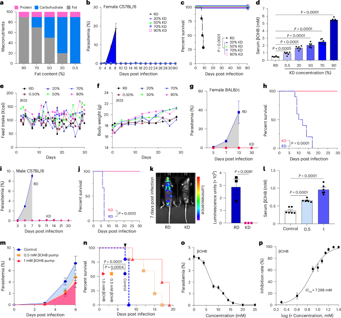 Fig. 1: KD conferred complete protection against P. berghei ANKA infection, and βOHB increased survival of infected mice and inhibited proliferation of P. falciparum 3D7 in vitro.