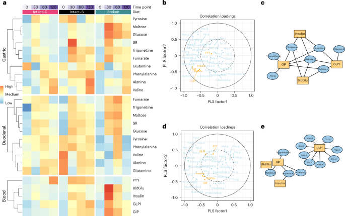 Fig. 7: Interplay between luminal metabolites and blood metabolic responses.