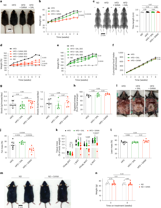 Fig. 1: SANA protects against DIO.
