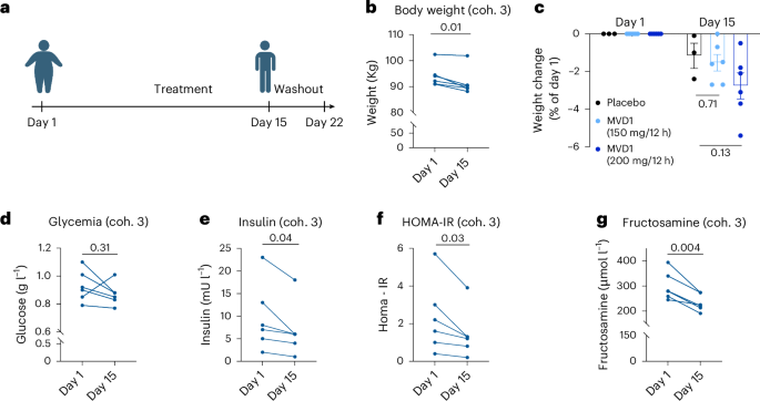 Fig. 7: Study design and main metabolic parameters induced by SANA (under the name of MVD1 during clinical studies) in a randomized, double-blind, placebo-controlled study phase 1A/B, first-in-human clinical trial in healthy volunteers with overweight or obesity.